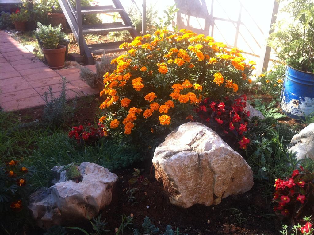 זאדאר Apartment Gold & Gray מראה חיצוני תמונה